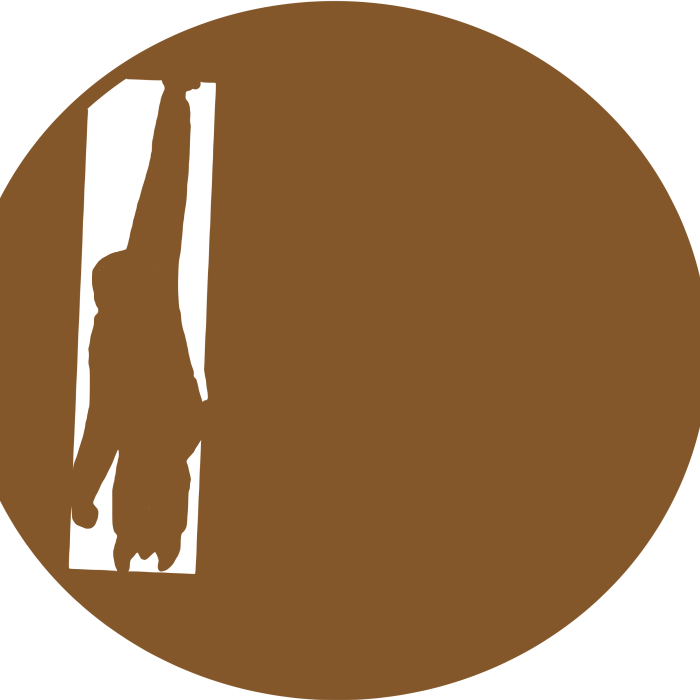 mnky_icon_orange